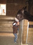 2012-04-20.JPG