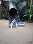 2012-04-28.JPG