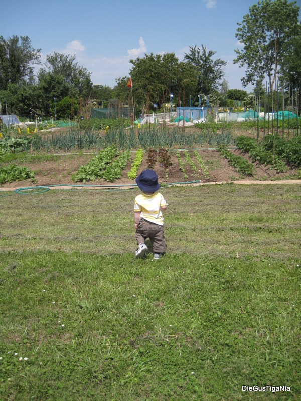 2012-05-23.JPG