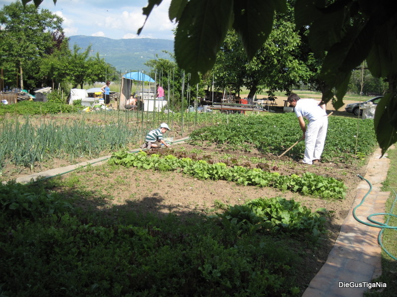 2012-05-29.JPG
