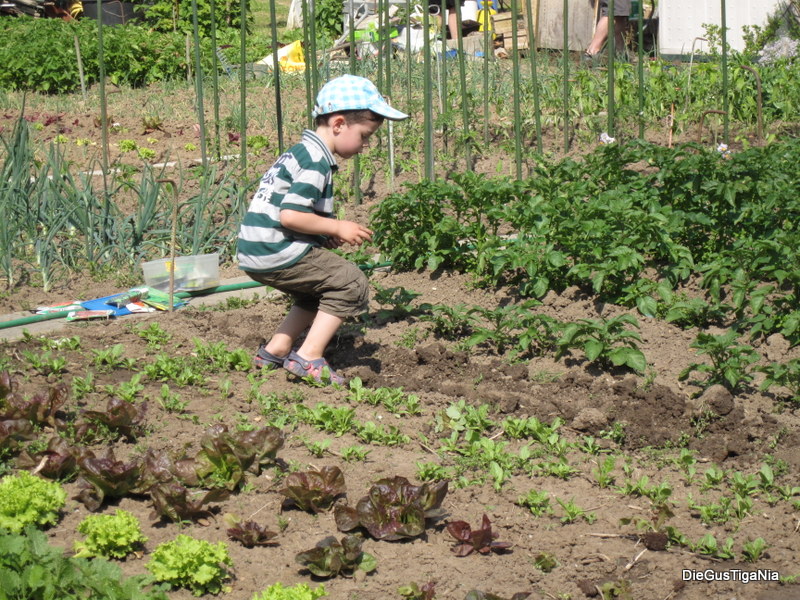 2012-05-30.JPG