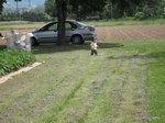 2012-05-22.JPG