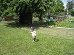 2012-05-24.JPG