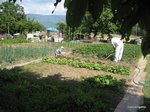 2012-05-29.JPG