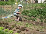 2012-05-30.JPG