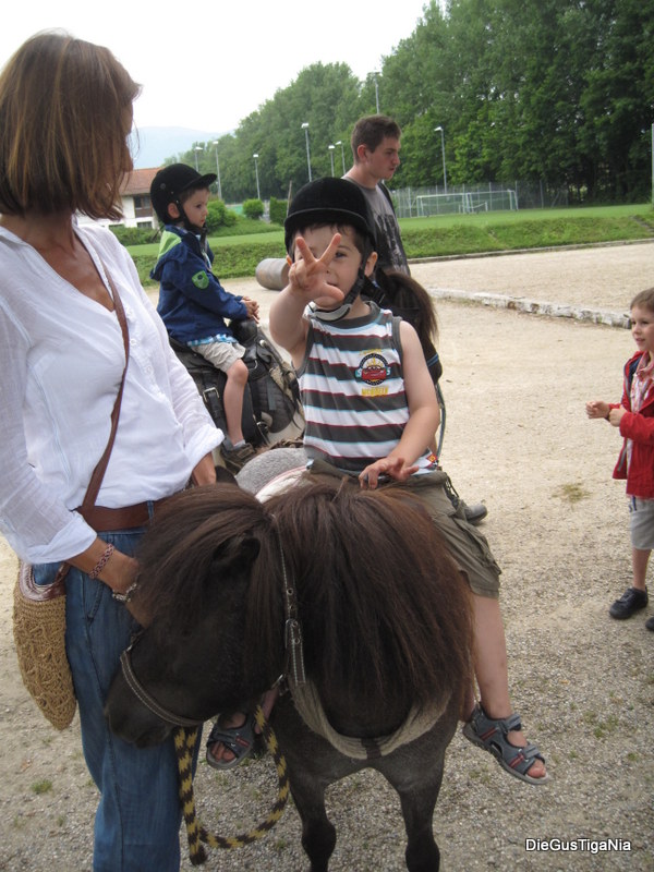 2012-06-20.JPG