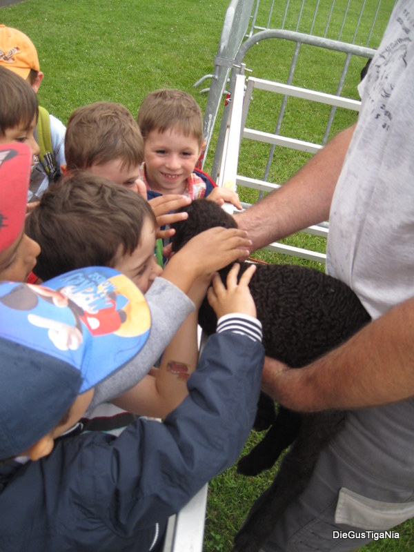 2012-06-22.JPG