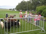 2012-06-21.JPG