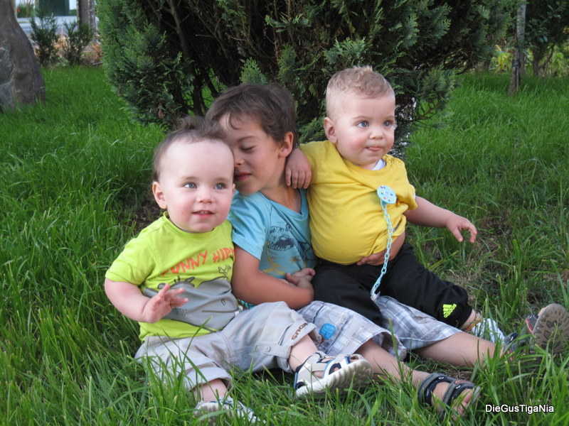 2012-07-115.JPG