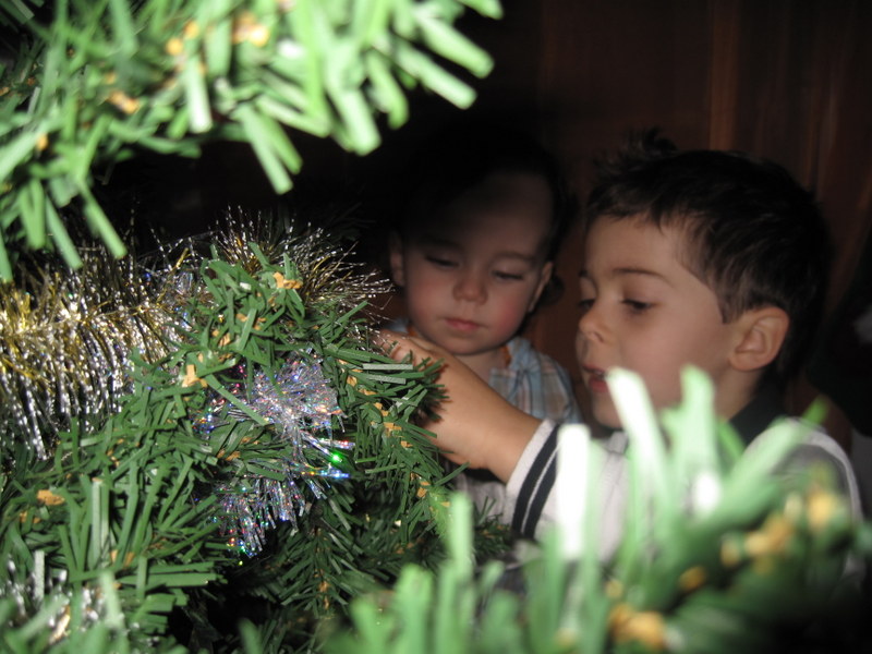 2012-12-006.JPG