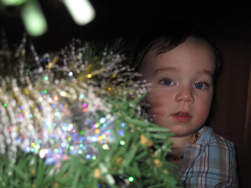 2012-12-008.JPG