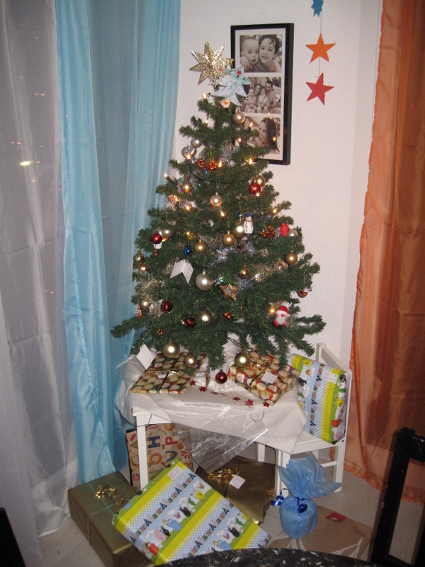 2012-12-077.JPG