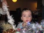 2012-12-002.JPG