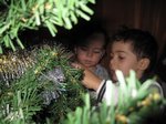 2012-12-006.JPG