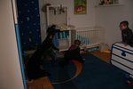 2013-02-035.jpg