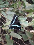 2013-04_007.jpg