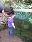 2013-04_010.jpg