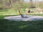 2013-04_053.jpg