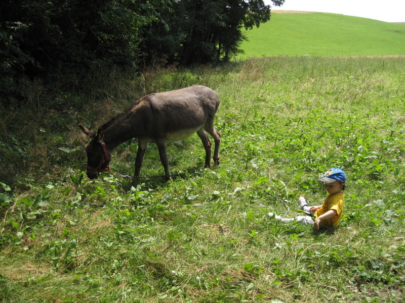 2013-07_029.jpg