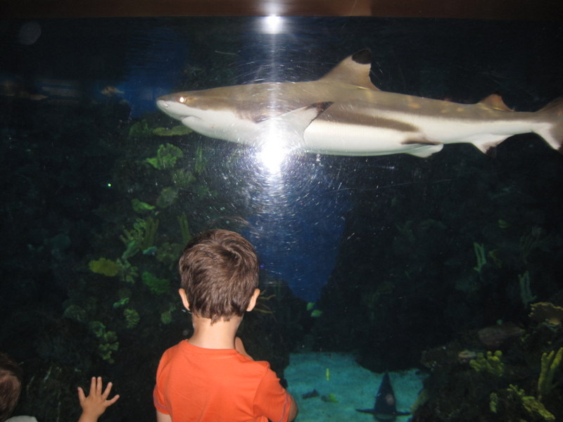 2013-07_040.jpg
