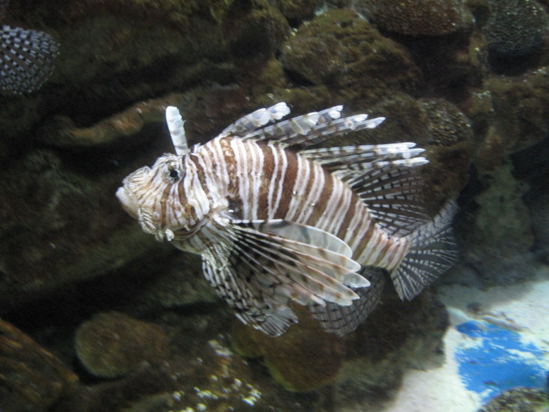 2013-07_041.jpg