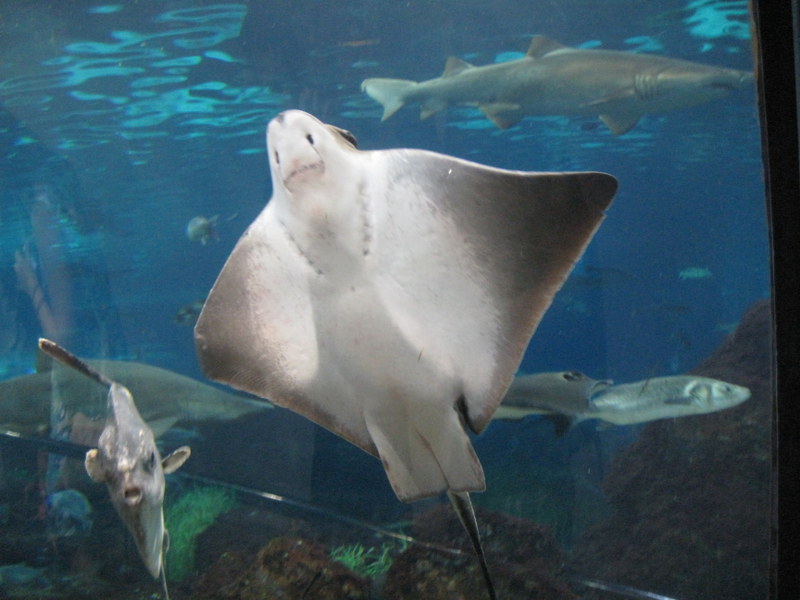 2013-07_043.jpg