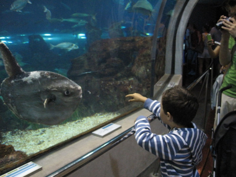 2013-07_044.jpg