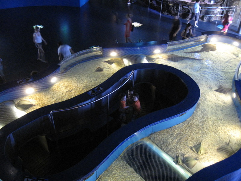 2013-07_054.jpg