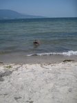 2013-07_005.jpg