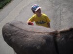2013-07_017.jpg