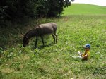 2013-07_029.jpg