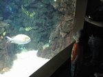 2013-07_038.jpg