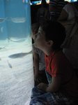 2013-07_039.jpg