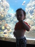 2013-07_042.jpg