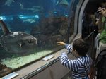 2013-07_044.jpg