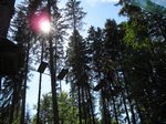 2013-08_009.jpg
