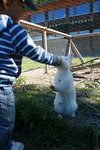2013-09_047.jpg