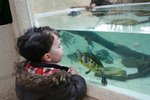 2014-03_004.jpg