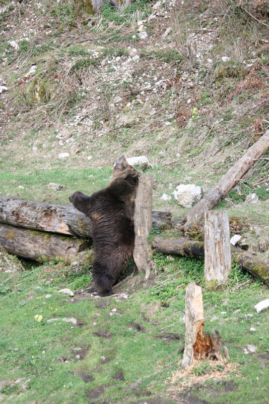 2014-04_045.jpg