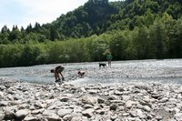 2015-07-12 13-15-41.JPG