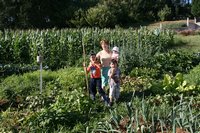 2015-08-02 18-26-41.JPG