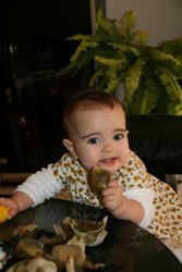 2015-11-15 13-32-31.JPG