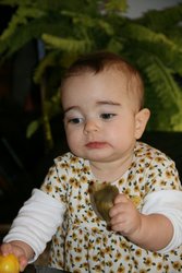 2015-11-15 13-32-55.JPG