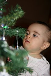 2015-12-05 19-02-28.JPG