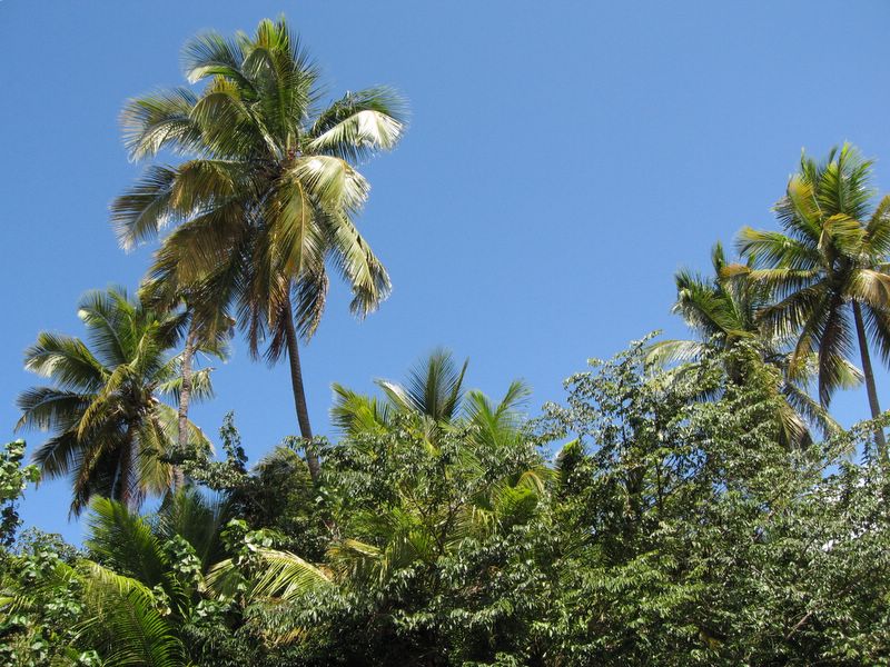 09_DOM_08.JPG