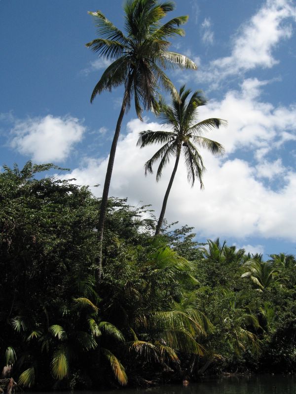09_DOM_09.JPG