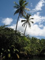 09_DOM_09.JPG